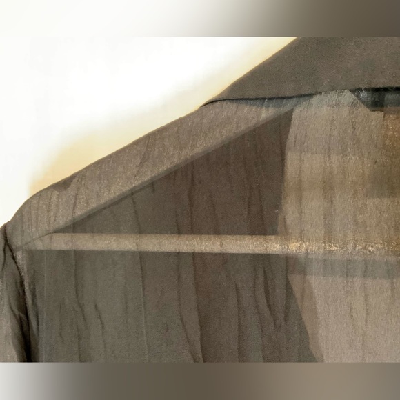 ALLISON TAYLOR - STUNNING Sheer Blouse RUFFLES LACE Button-down Sz M - BLACK - Picture 8 of 10